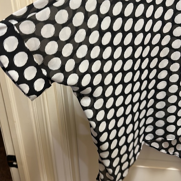 Chico overtop. - Picture 3 of 5